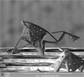 Illustration for article titled Nanometer-Wide PicoToilet, Plus a Gallery of Micrographs